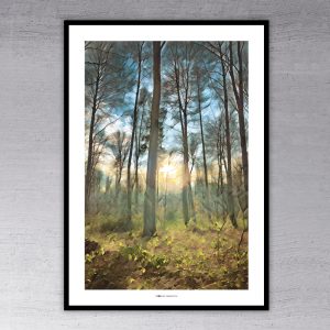 000360 - The Forest